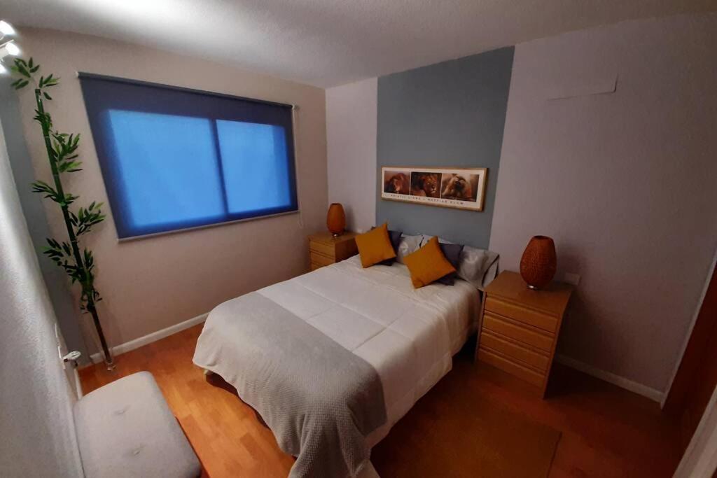 Apartamento Moderno Timanfaya サンタクルスデテネリフェ エクステリア 写真