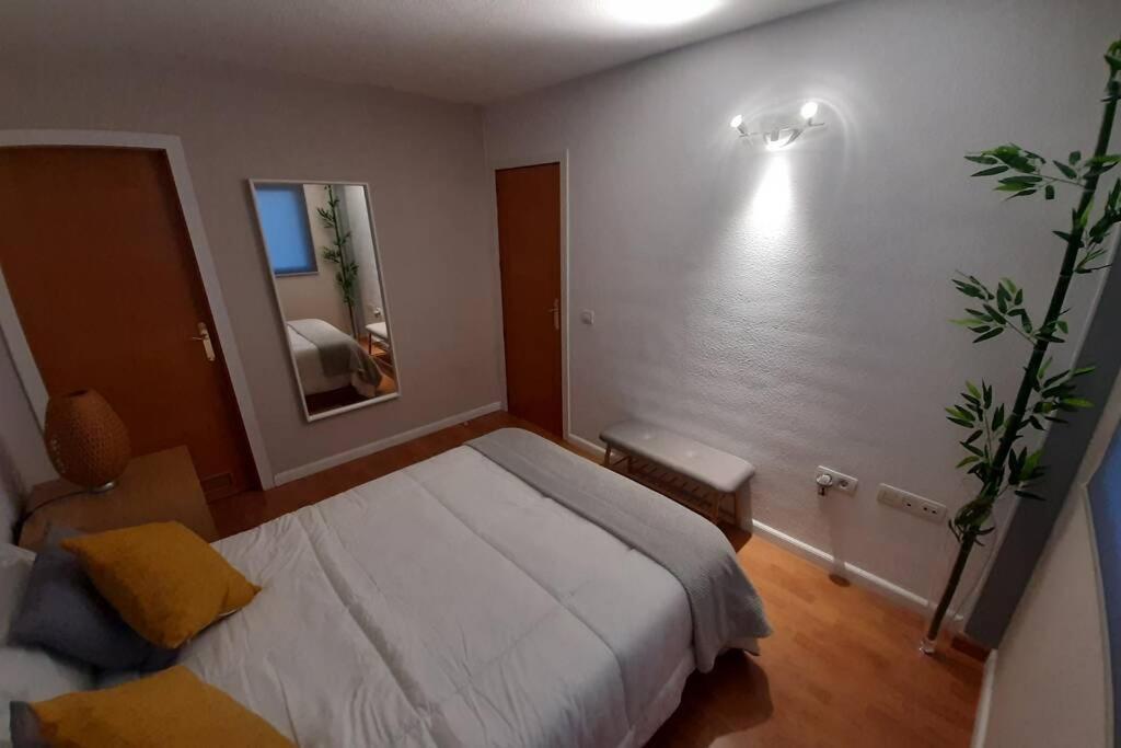 Apartamento Moderno Timanfaya サンタクルスデテネリフェ エクステリア 写真
